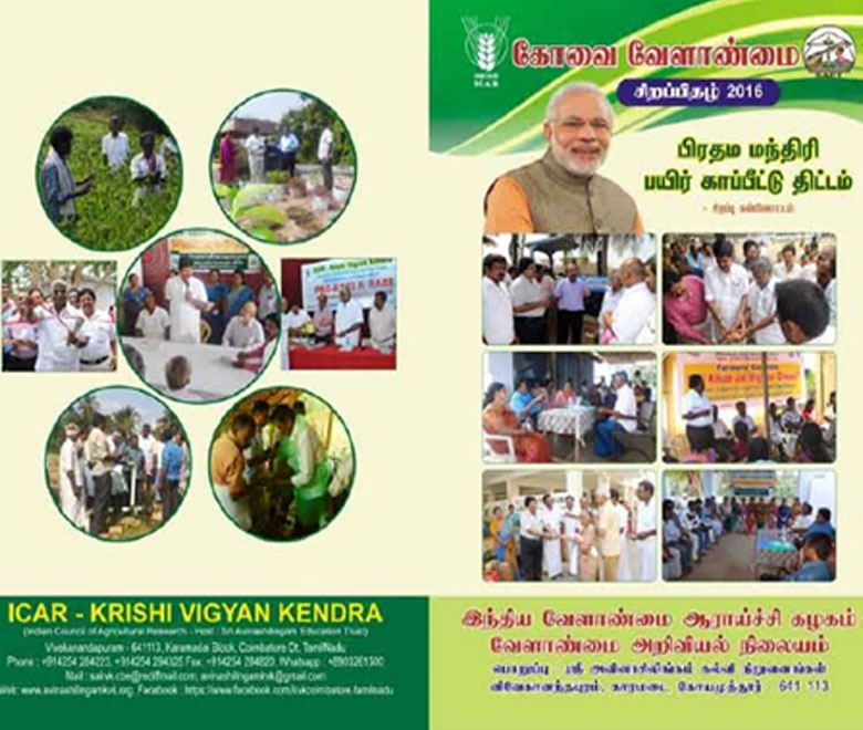 Daily Market Information DMI